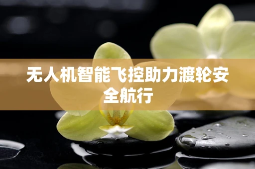 无人机智能飞控助力渡轮安全航行