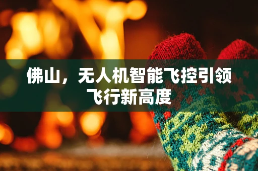 佛山，无人机智能飞控引领飞行新高度