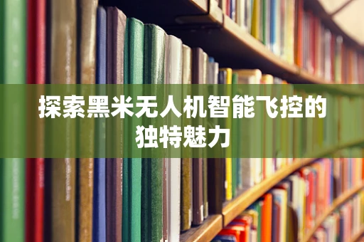 探索黑米无人机智能飞控的独特魅力