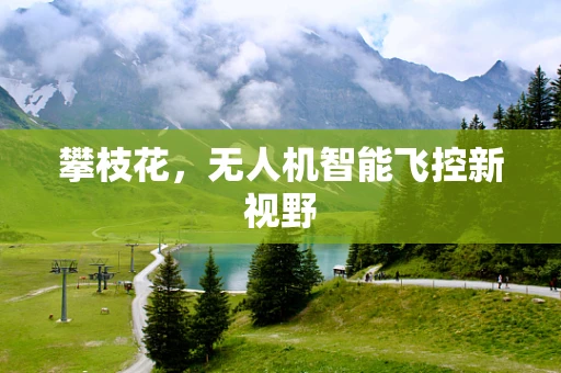 攀枝花，无人机智能飞控新视野