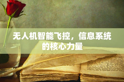 无人机智能飞控，信息系统的核心力量
