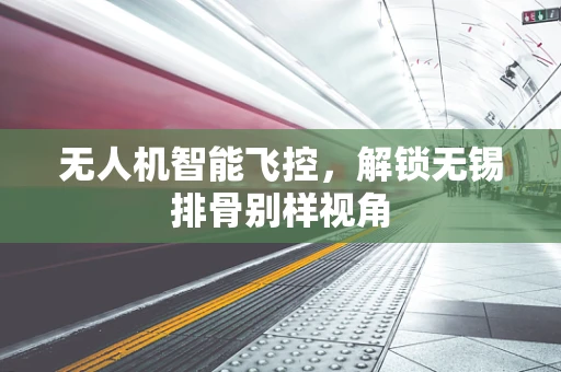 无人机智能飞控，解锁无锡排骨别样视角