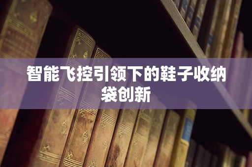 智能飞控引领下的鞋子收纳袋创新