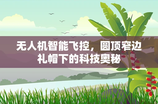 无人机智能飞控，圆顶窄边礼帽下的科技奥秘