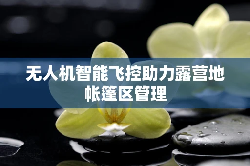 无人机智能飞控助力露营地帐篷区管理