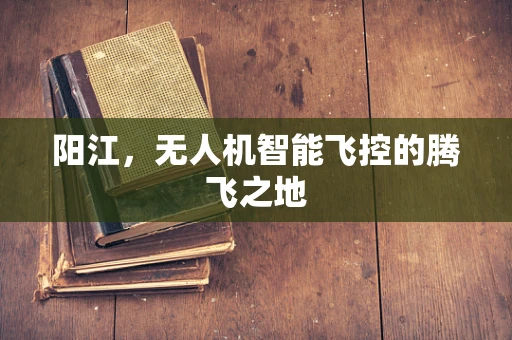 阳江，无人机智能飞控的腾飞之地