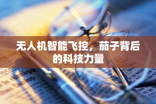 无人机智能飞控，茄子背后的科技力量