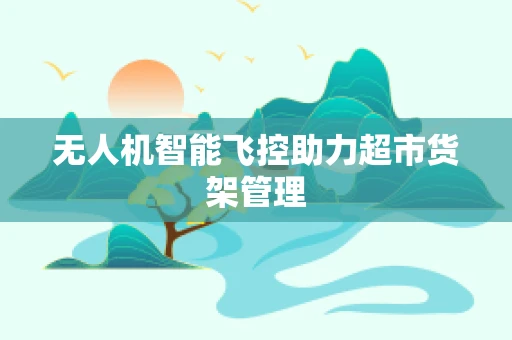无人机智能飞控助力超市货架管理