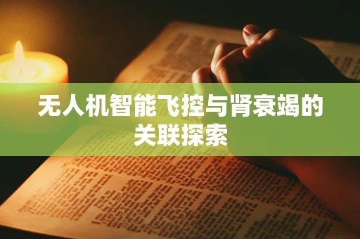 无人机智能飞控与肾衰竭的关联探索