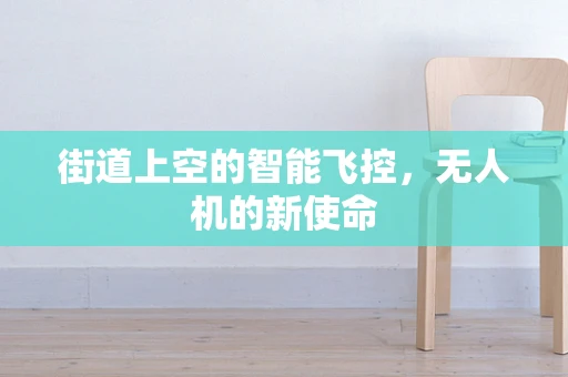街道上空的智能飞控，无人机的新使命