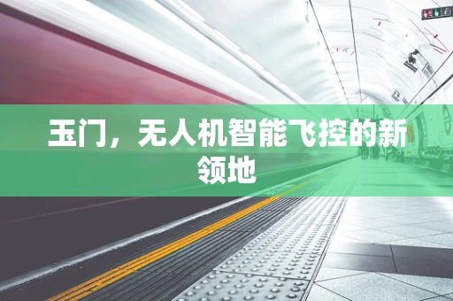 玉门，无人机智能飞控的新领地