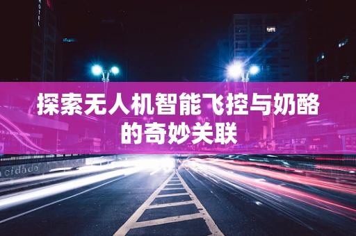 探索无人机智能飞控与奶酪的奇妙关联