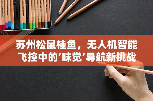 苏州松鼠桂鱼，无人机智能飞控中的‘味觉’导航新挑战？