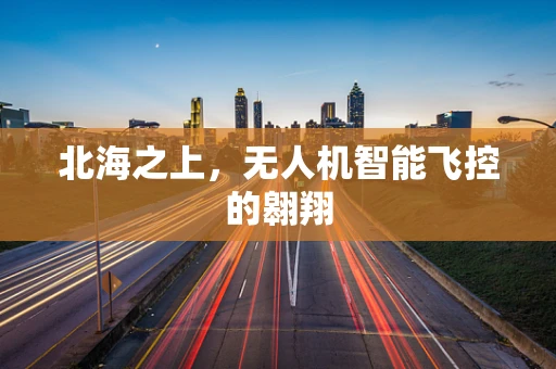 北海之上，无人机智能飞控的翱翔