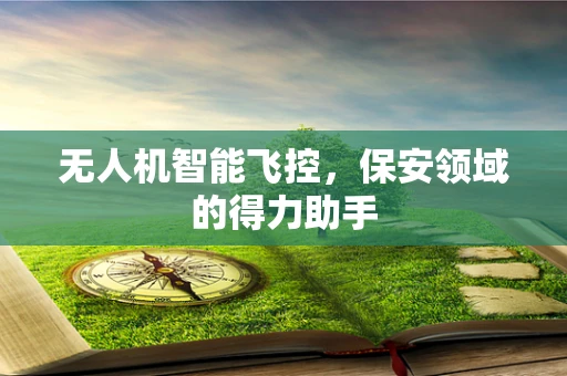 无人机智能飞控，保安领域的得力助手