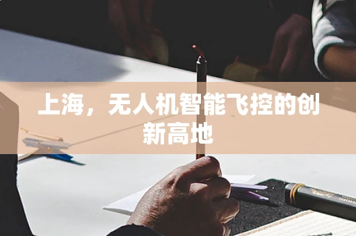 上海，无人机智能飞控的创新高地