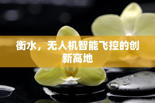 衡水，无人机智能飞控的创新高地