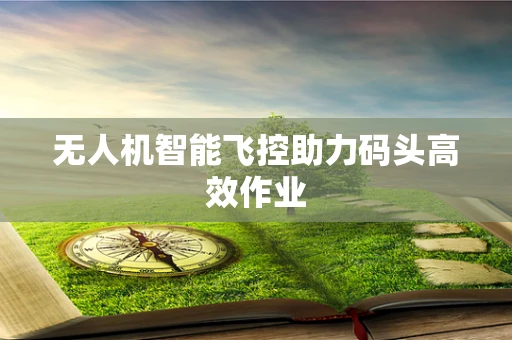 无人机智能飞控助力码头高效作业