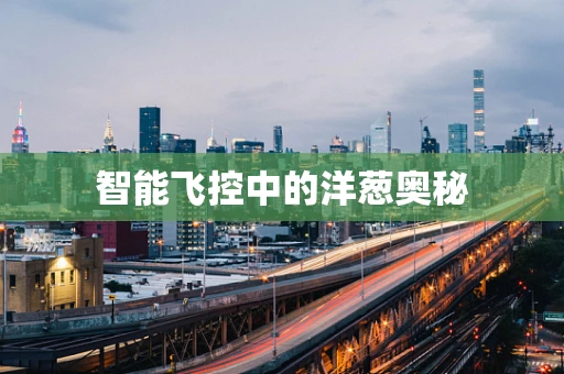 智能飞控中的洋葱奥秘