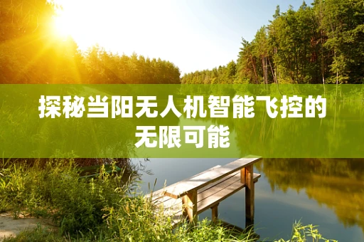探秘当阳无人机智能飞控的无限可能