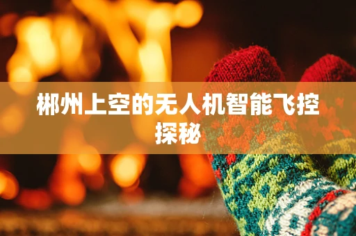 郴州上空的无人机智能飞控探秘