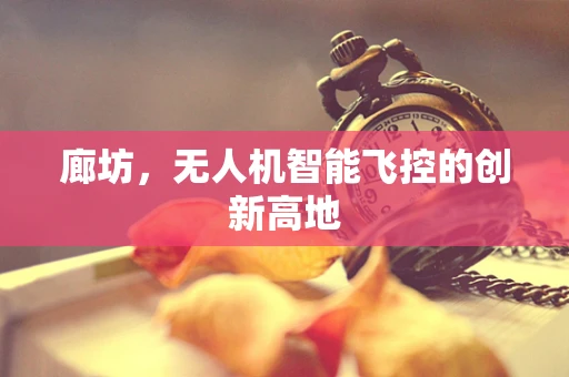 廊坊，无人机智能飞控的创新高地
