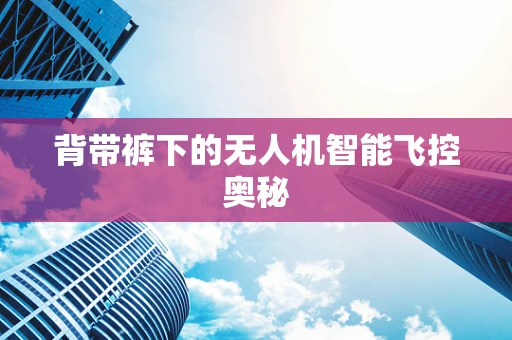 背带裤下的无人机智能飞控奥秘