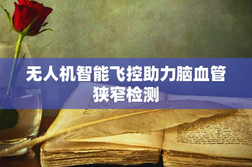 无人机智能飞控助力脑血管狭窄检测