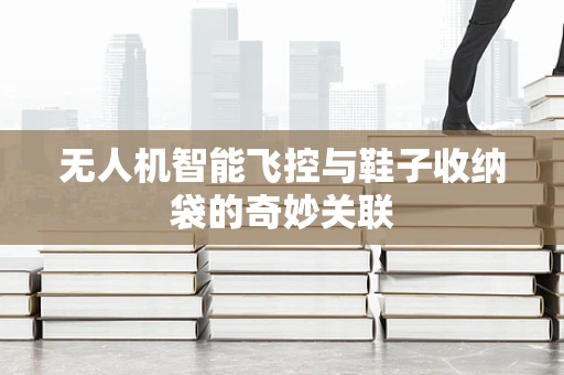无人机智能飞控与鞋子收纳袋的奇妙关联