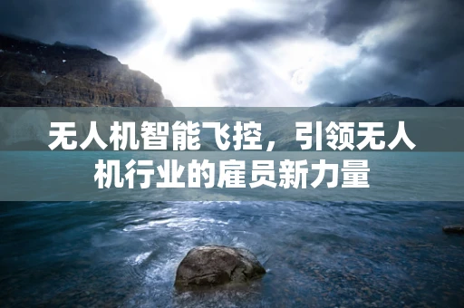 无人机智能飞控，引领无人机行业的雇员新力量
