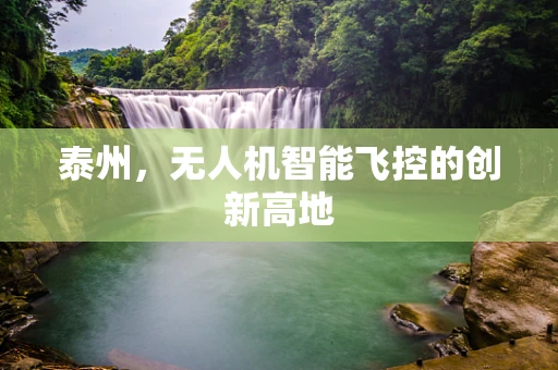 泰州，无人机智能飞控的创新高地