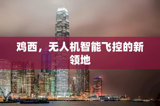 鸡西，无人机智能飞控的新领地