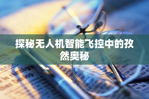 探秘无人机智能飞控中的孜然奥秘