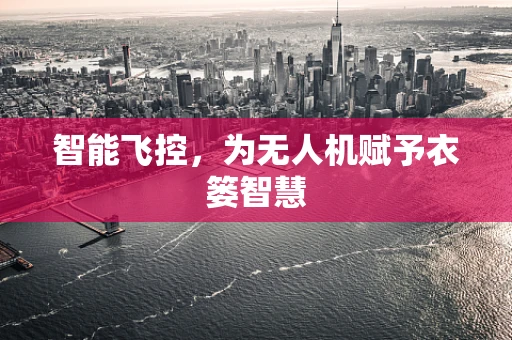 智能飞控，为无人机赋予衣篓智慧