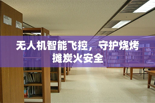 无人机智能飞控，守护烧烤摊炭火安全