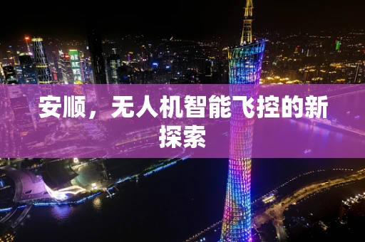 安顺，无人机智能飞控的新探索