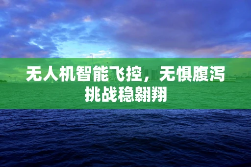 无人机智能飞控，无惧腹泻挑战稳翱翔