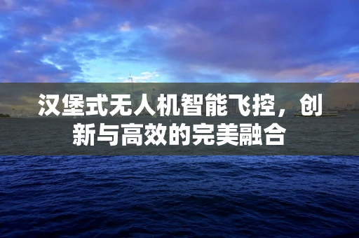 汉堡式无人机智能飞控，创新与高效的完美融合