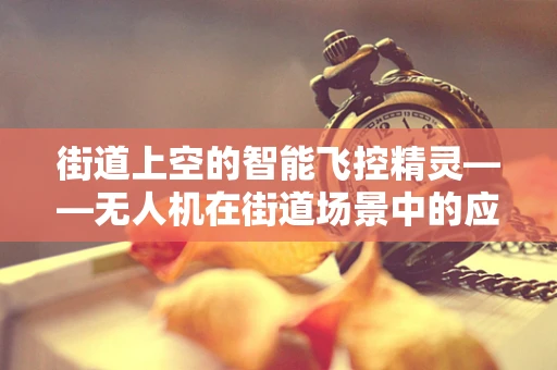 街道上空的智能飞控精灵——无人机在街道场景中的应用探索