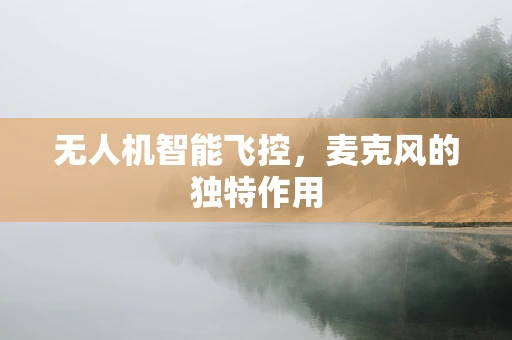 无人机智能飞控，麦克风的独特作用