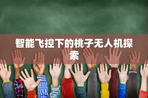 智能飞控下的桃子无人机探索