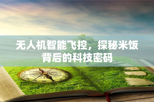 无人机智能飞控，探秘米饭背后的科技密码