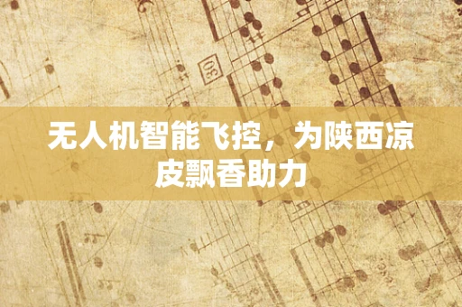 无人机智能飞控，为陕西凉皮飘香助力