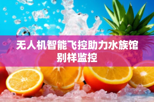 无人机智能飞控助力水族馆别样监控
