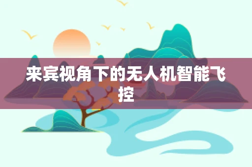 来宾视角下的无人机智能飞控