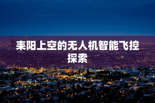 耒阳上空的无人机智能飞控探索