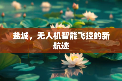 盐城，无人机智能飞控的新航迹