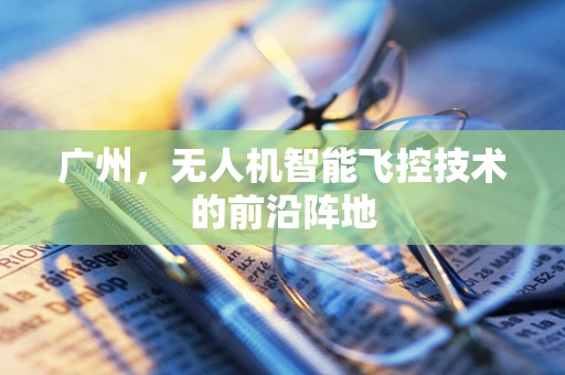 广州，无人机智能飞控技术的前沿阵地