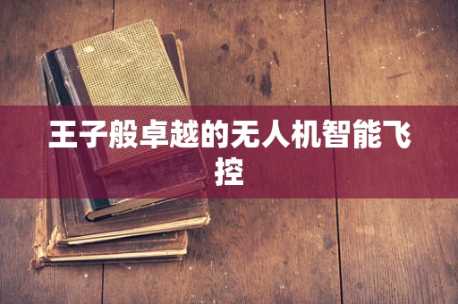 王子般卓越的无人机智能飞控