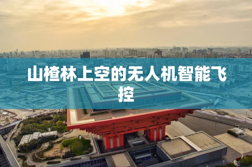 山楂林上空的无人机智能飞控